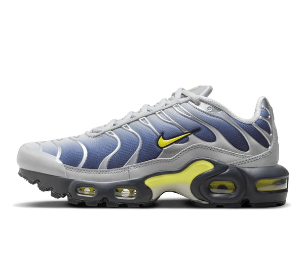 Nike Air Max Plus Obsidian Silver (GS) – Nike