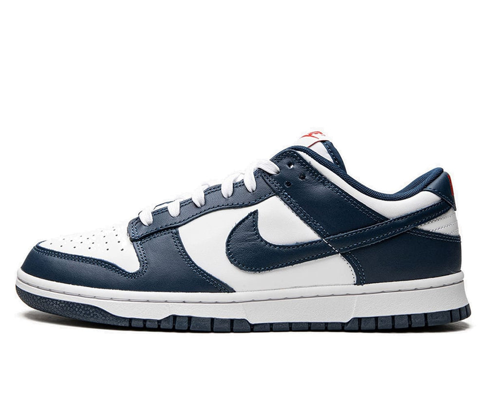 Nike Dunk Low Valerian Blue