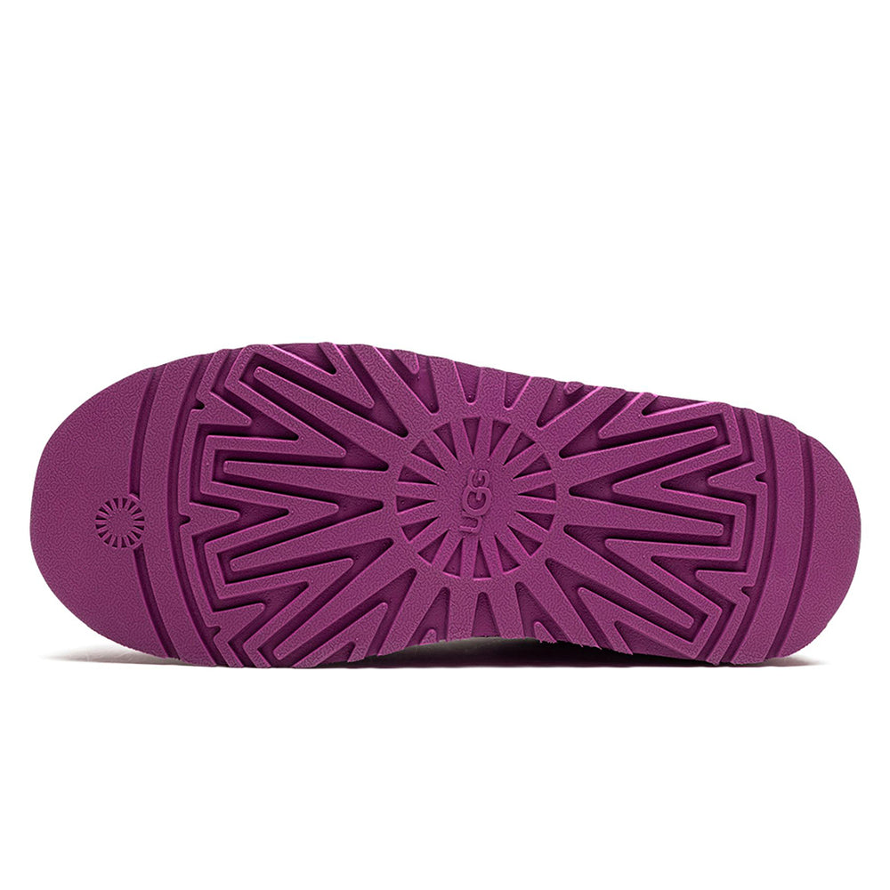 
                      
                        UGG Tazz Slipper Mangosteen (W)
                      
                    